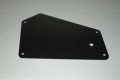 CS0054 - ECU Cover Plate