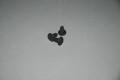 MF0056 - Body Clip Rubber Cover Clip
