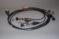 LH0043 - Front Light Harness